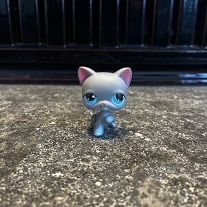Littlest Pet Shop Shorthar #74🐾